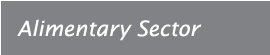 Food Sector